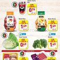 Antevisão Folheto ALDI Promoções de 11 a 17 novembro  p 2.jpg